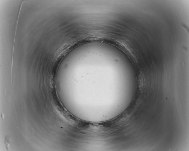 X0000103300455200808291134