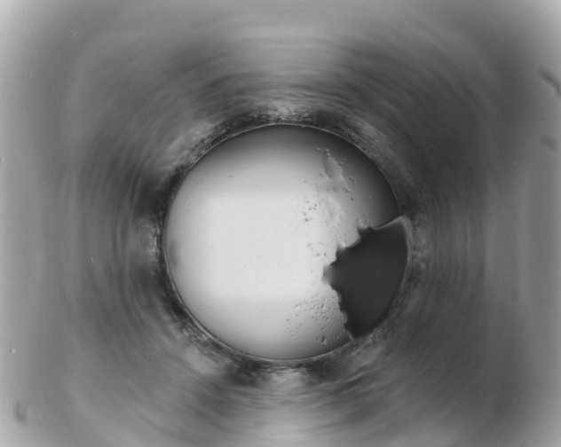 X0000103300456200808291134