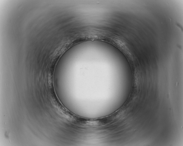 X0000103300457200808291134