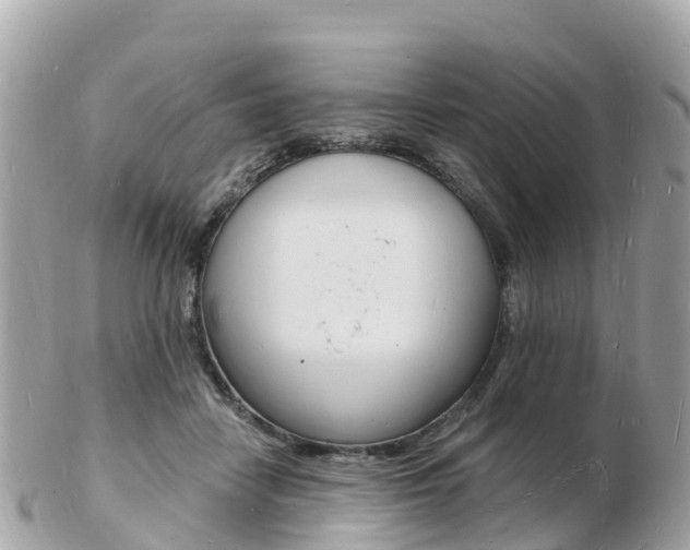 X0000103300458200808291134