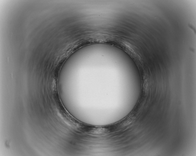 X0000103300459200808291134
