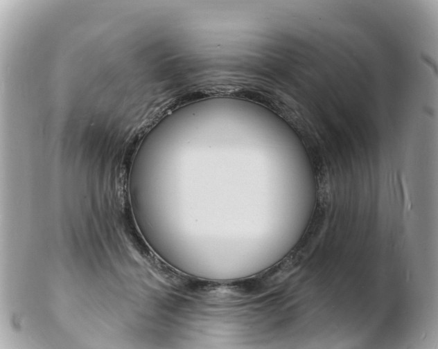 X0000103300460200808291134