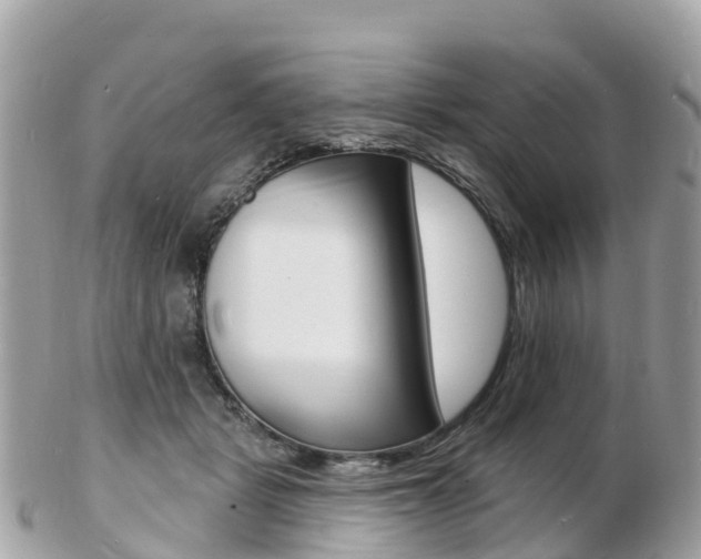 X0000103300461200808291134