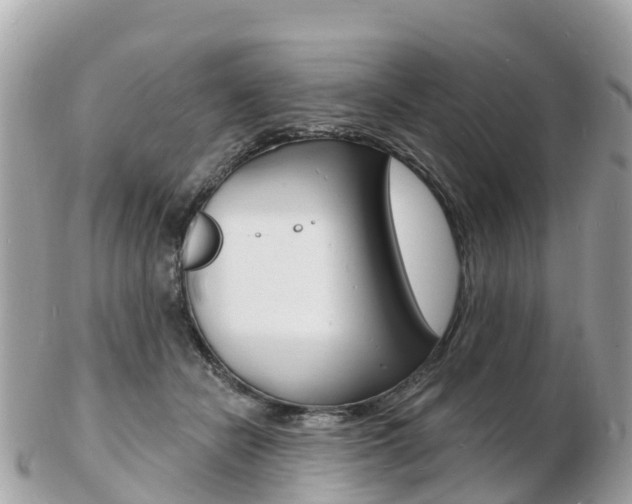 X0000103300462200808291134