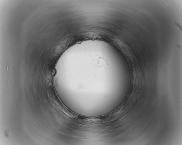 X0000103300465200808291134