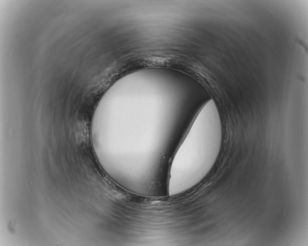 X0000103300467200808291134