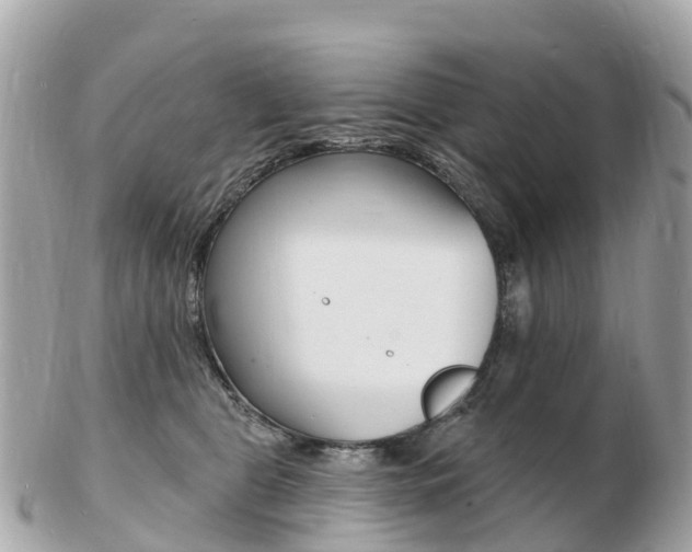 X0000103300469200808291134