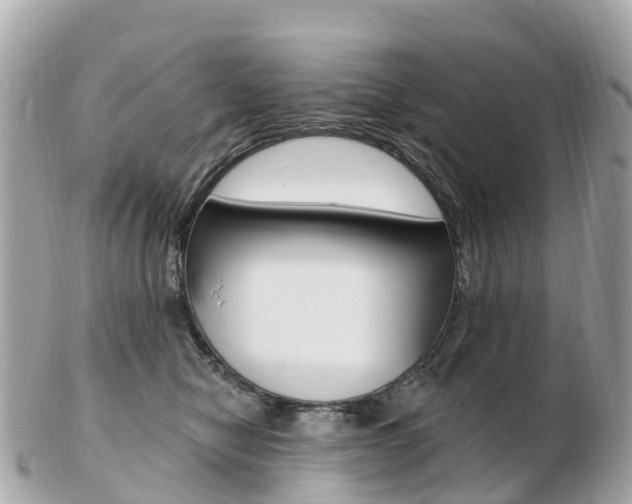 X0000103300470200808291134