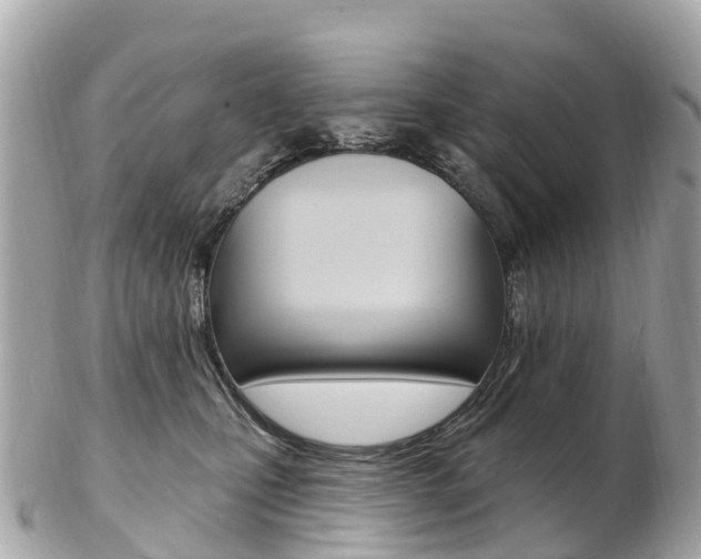 X0000103300471200808291135