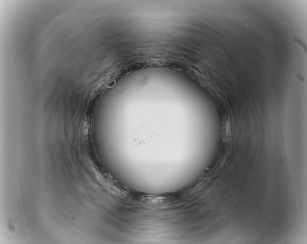 X0000103300472200808291135