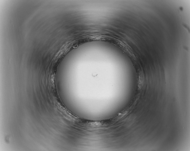 X0000103300473200808291135