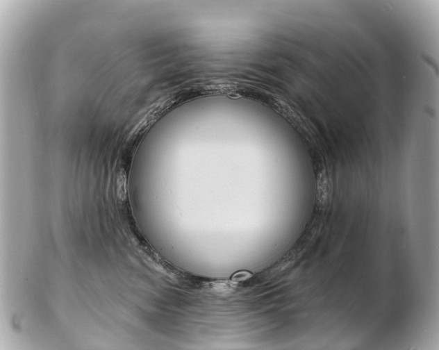 X0000103300474200808291135