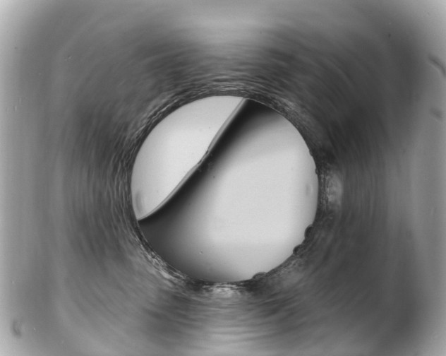 X0000103300475200808291135