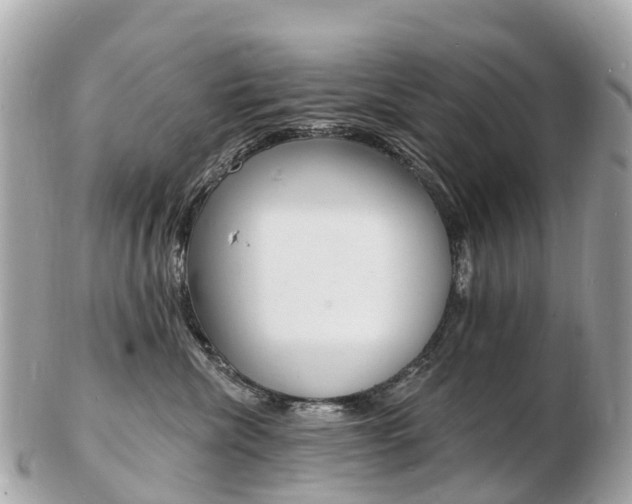 X0000103300476200808291135