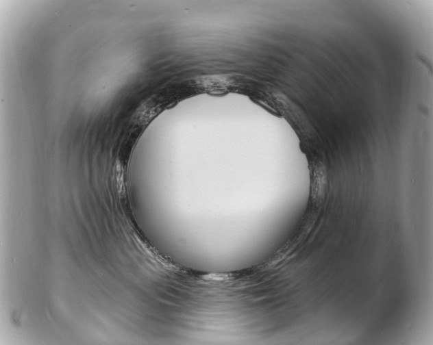X0000103300477200808291135
