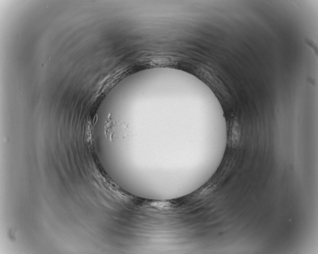 X0000103300478200808291135