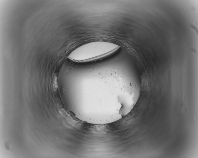 X0000103300479200808291135