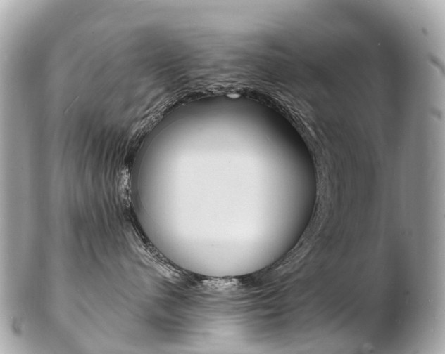 X0000103300480200808291135