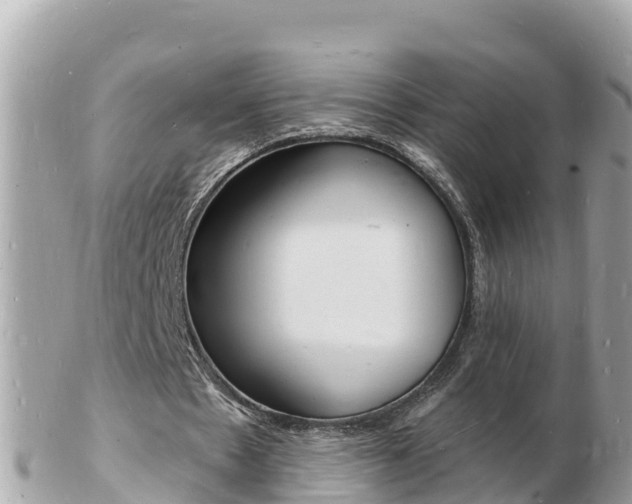 X0000103300481200808291134