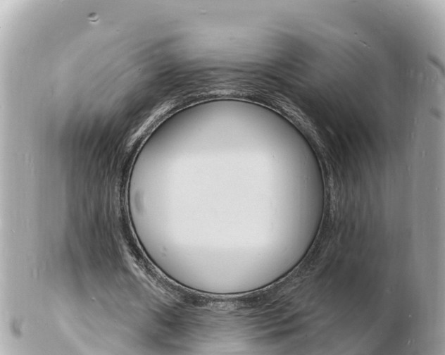 X0000103300482200808291134