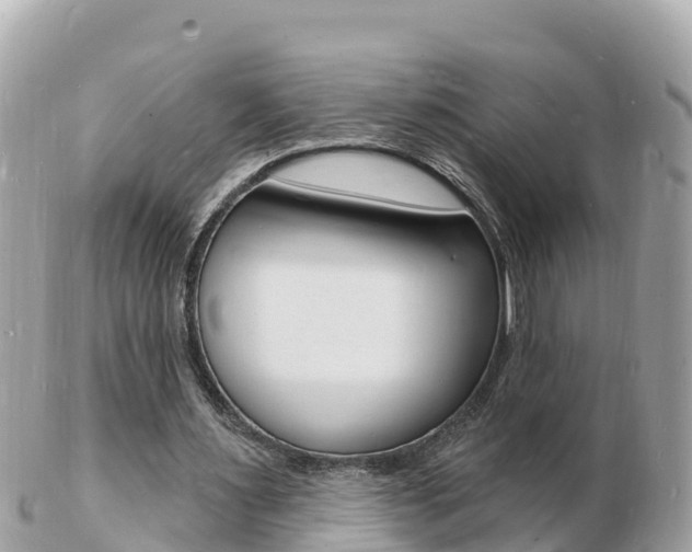 X0000103300483200808291134