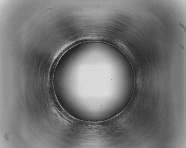 X0000103300484200808291134