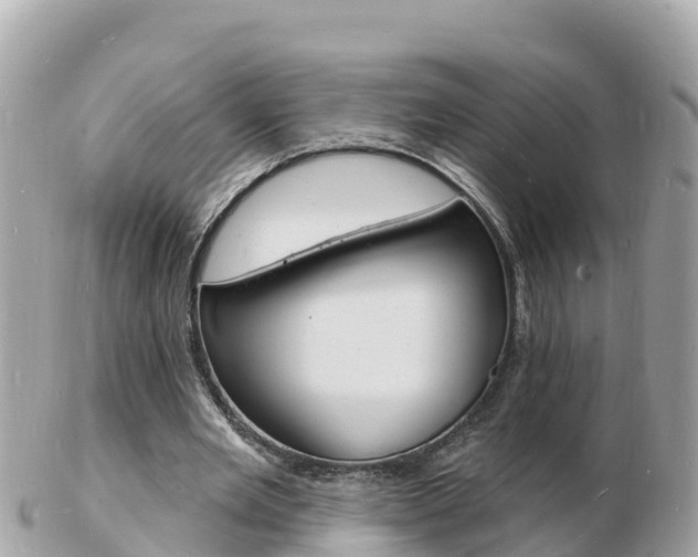 X0000103300485200808291134