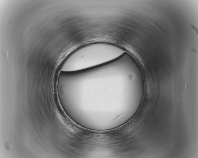 X0000103300486200808291134