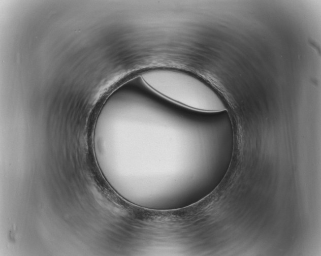 X0000103300488200808291134