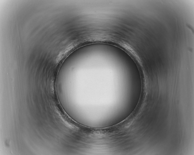 X0000103300489200808291134