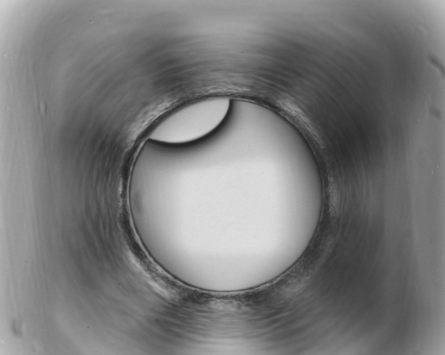 X0000103300490200808291134