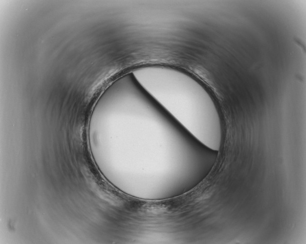 X0000103300491200808291134