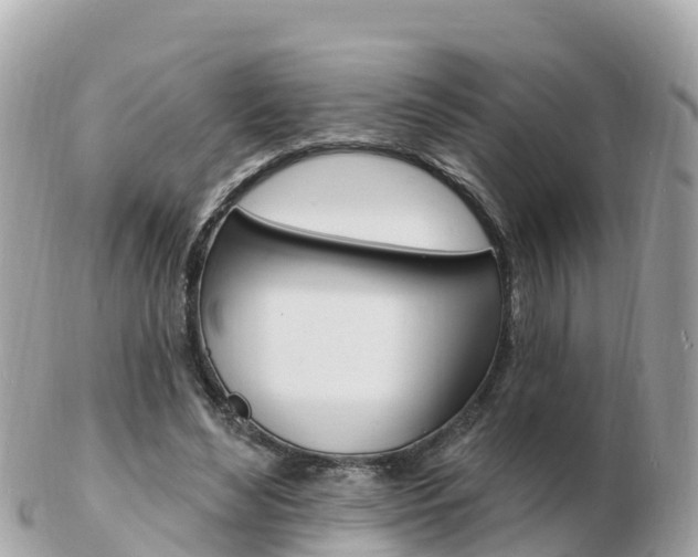 X0000103300492200808291134