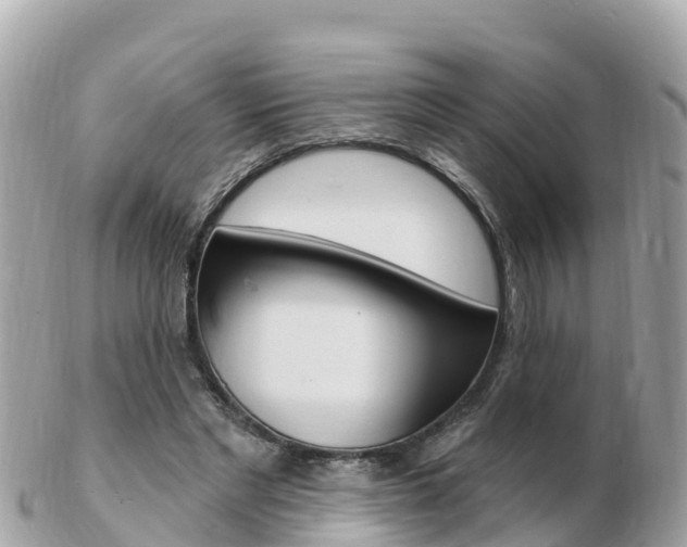 X0000103300493200808291134