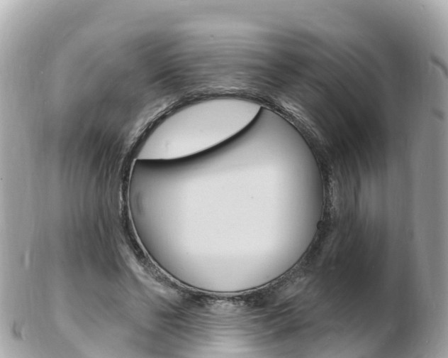 X0000103300494200808291134