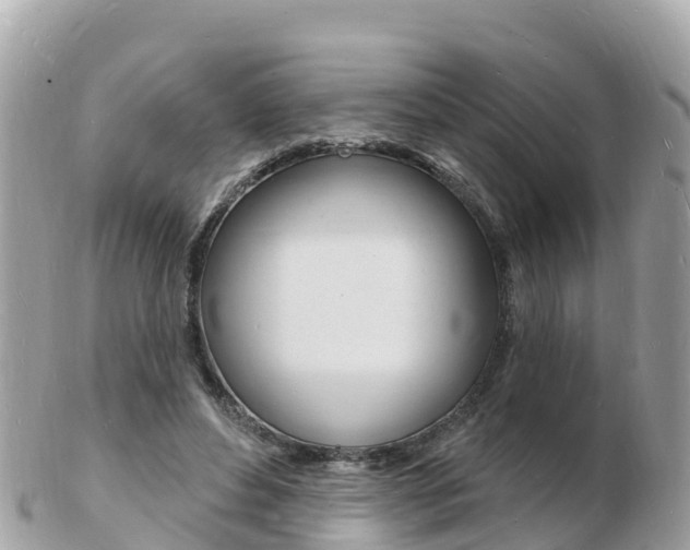 X0000103300496200808291134