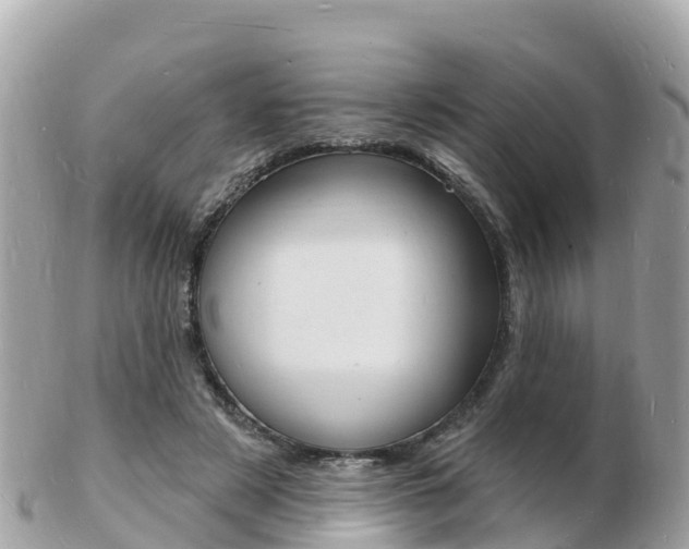X0000103300497200808291134