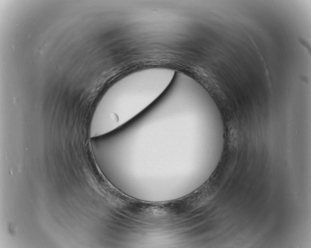X0000103300498200808291134