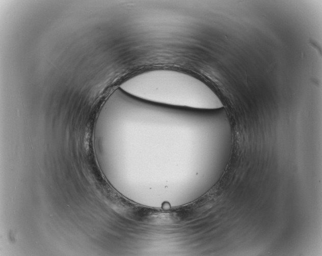 X0000103300499200808291134