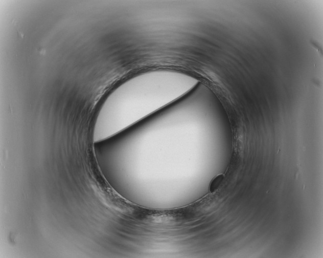 X0000103300500200808291134