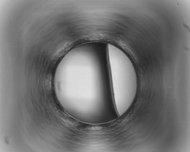 X0000103300501200808291134
