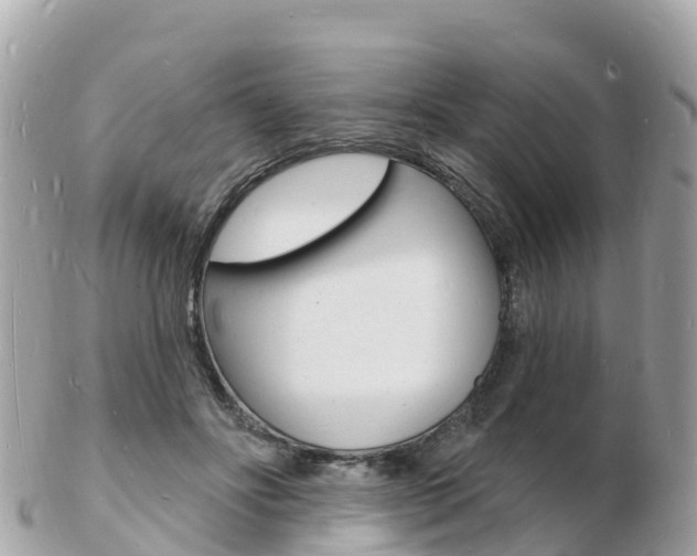 X0000103300502200808291134