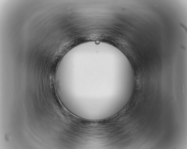 X0000103300503200808291133
