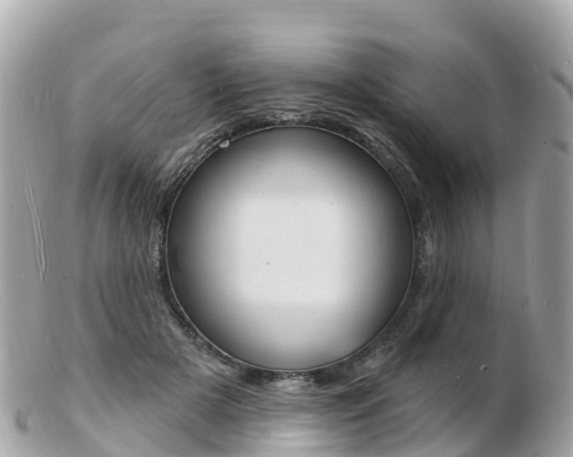 X0000103300505200808291133