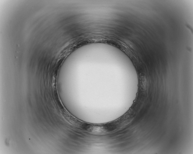 X0000103300507200808291133