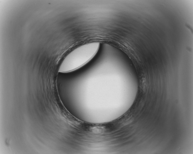 X0000103300508200808291133