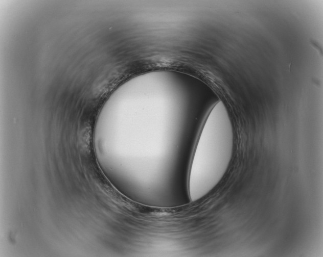 X0000103300509200808291133