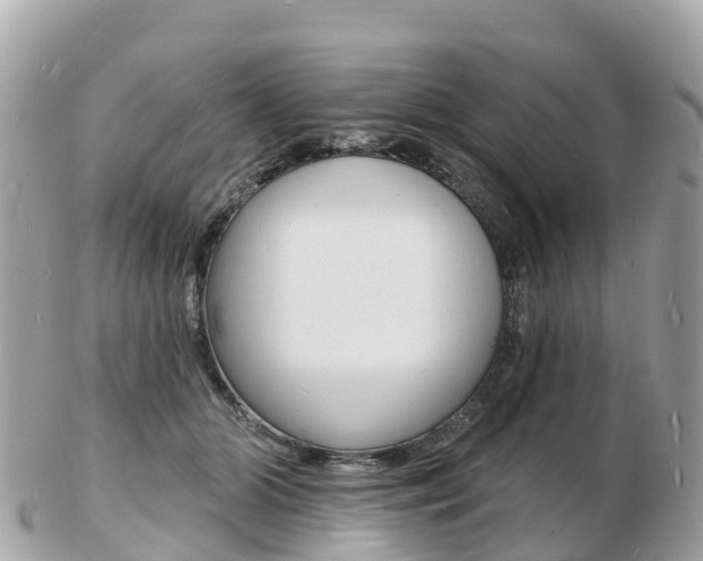 X0000103300510200808291133