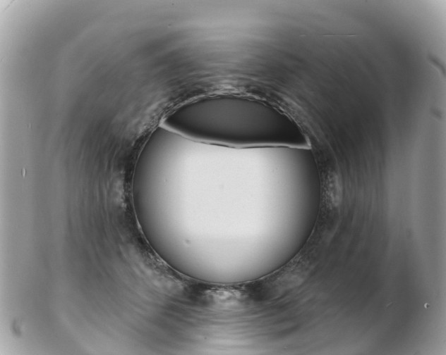 X0000103300512200808291133