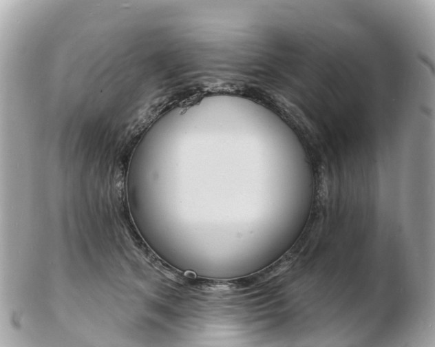 X0000103300513200808291133